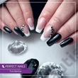 PERFECT NAILS DELUX GEL - ZDOBIACI FAREBNÝ GÉL - ČIERNY #001 - 5G