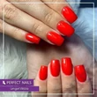PERFECT NAILS EXTREME GLOSS TOP COAT GÉL 15ML