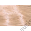 SUBRINA PROFESSIONAL COLOUR DEMI PERMANENT 60ML 10/32 NAJSVETLEJŠIA CHAMPAGNE BLOND