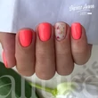 PEARL NAILS ALLURE PRÉMIUM GÉL LAK WILD WATERMELON 107