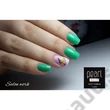 PEARL NAILS CLASSIC 299 GÉL LAK - MÄTA