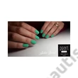 PEARL NAILS MÄTOVÝ GÉL LAK - CLASSIC 299