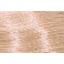 SUBRINA PROFESSIONAL COLOUR PERMANENT ESSENTIAL FARBA NA VLASY 100ML 10/32 NAJSVETLEJŠIA CHAMPAGNE BLOND