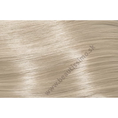 SUBRINA PROFESSIONAL COLOUR DEMI PERMANENT 60ML 10/1 NAJSVETLEJŠIA POPOLAVÁ BLOND