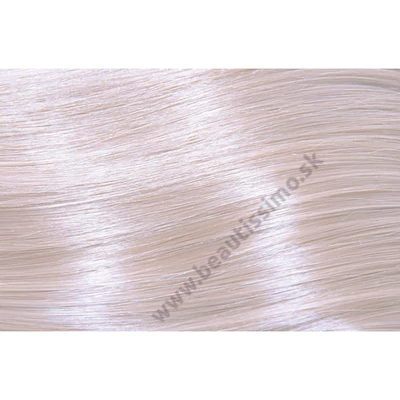 SUBRINA PROFESSIONAL COLOUR PERMANENT HIGH LIFT FARBA NA VLASY 100ML 11/6 ŠPECIÁLNA BLOND-FIALOVÁ
