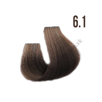 Silky Color Care farba na vlasy 100 ml - 6.1
